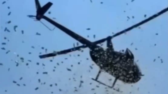 Amerika .. Ein Flugzeug wirft Tausende von Dollar auf Passanten