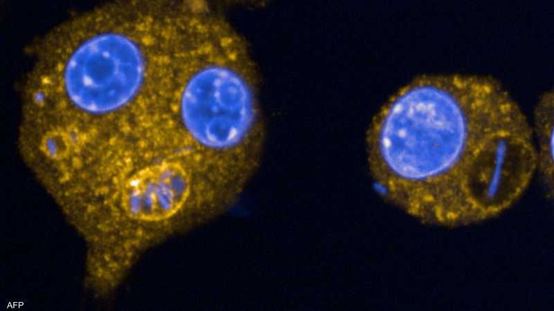 Die Weltgesundheitsorganisation warnt vor "tödlichen Bakterien", die gegen Antibiotika resistent sind