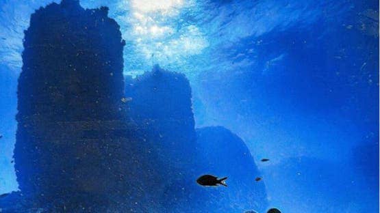 Egipto: Misión internacional revela un puerto ptolemaico sumergido frente a las costas de Alejandría