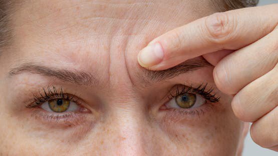 Researchers Make Progress in Aging Treatment with Promising Mouse Study