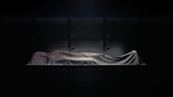 Cairo Incident: Dismembered Body of Woman Discovered After Alleged Attempted Rape