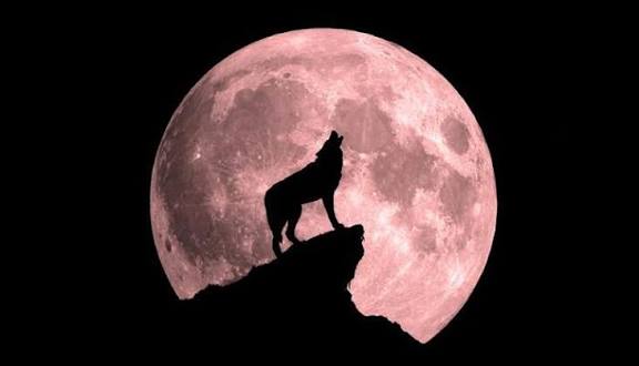 January's Supermoon: Last Chance to View Until November 2026