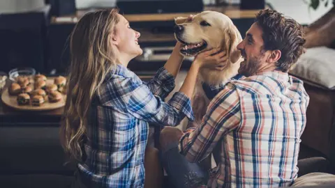 Study Shows Dogs Outnumber Children in 34% of England's Areas