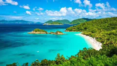 Tragic Shark Attack Claims Life of American Tourist in the U.S. Virgin Islands