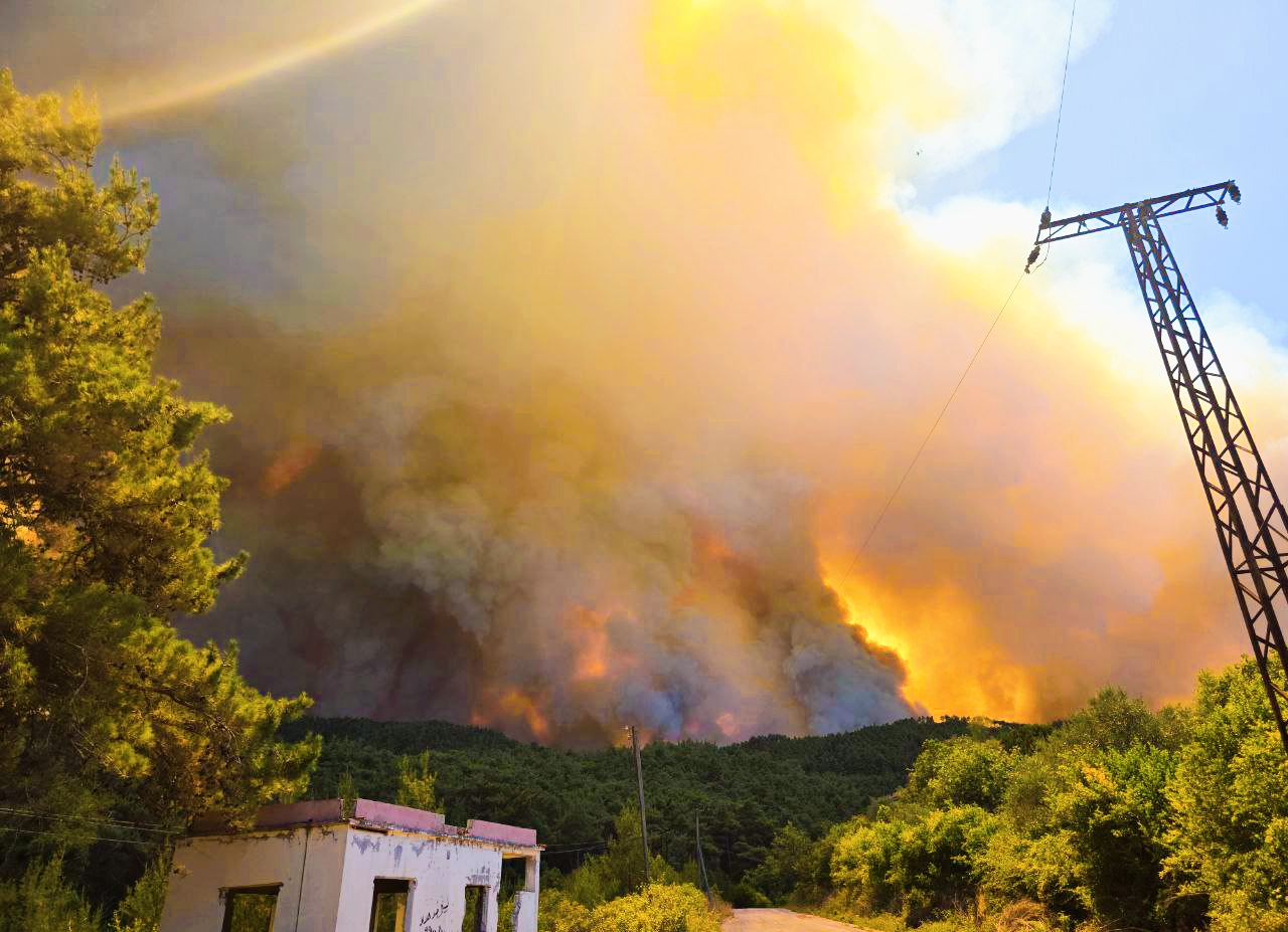 Les incendies font rage dans la campagne de Lattaquié, hors de contrôle .. Les évacuations se poursuivent et le vent entrave les efforts d'extinction