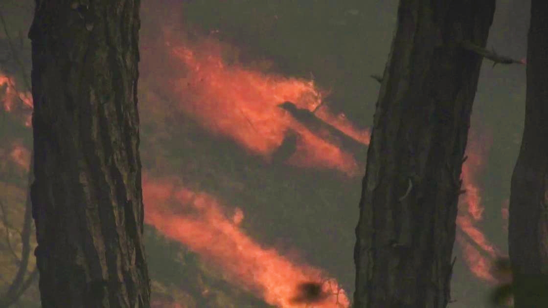 Continúan los incendios en los bosques del norte de Latakia por tercer día consecutivo