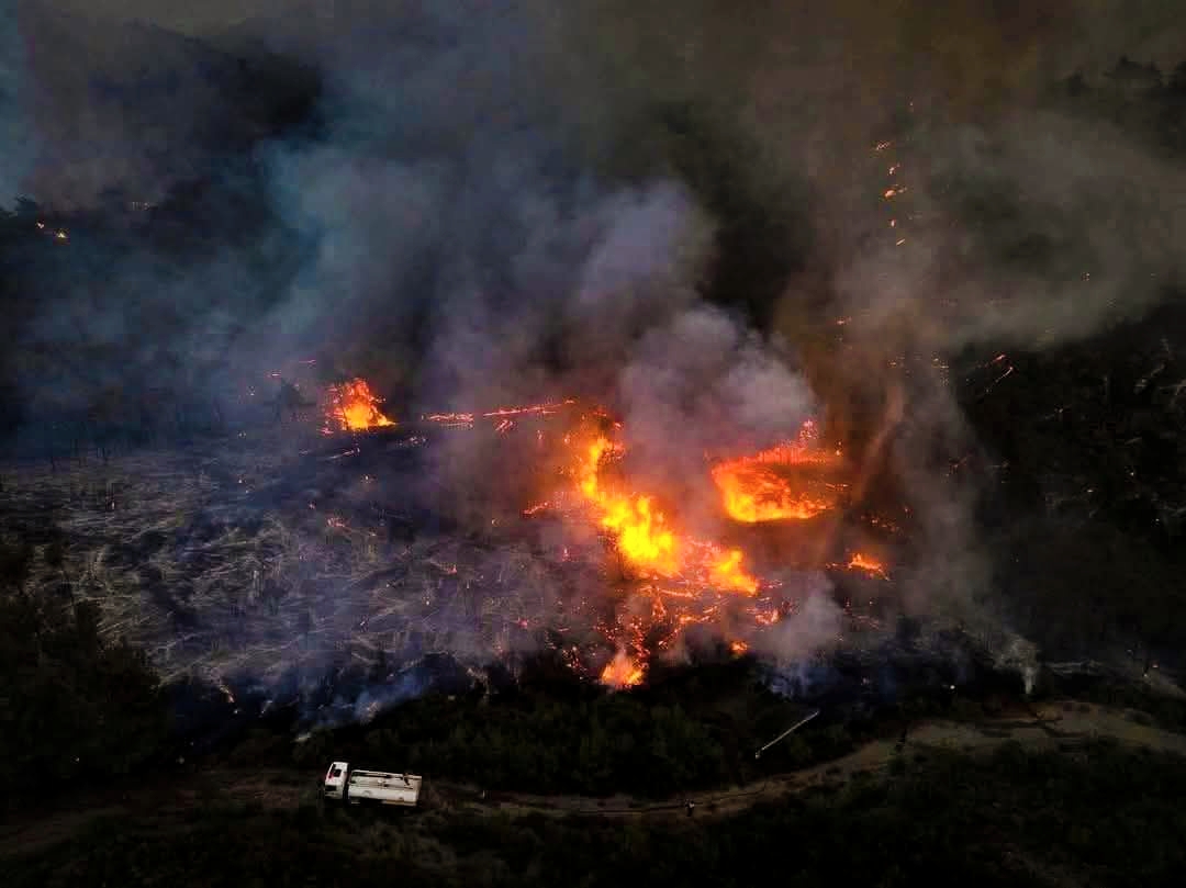 Control of Latakia Fires Approaching After 15 Thousand Hectares of Forests Burned