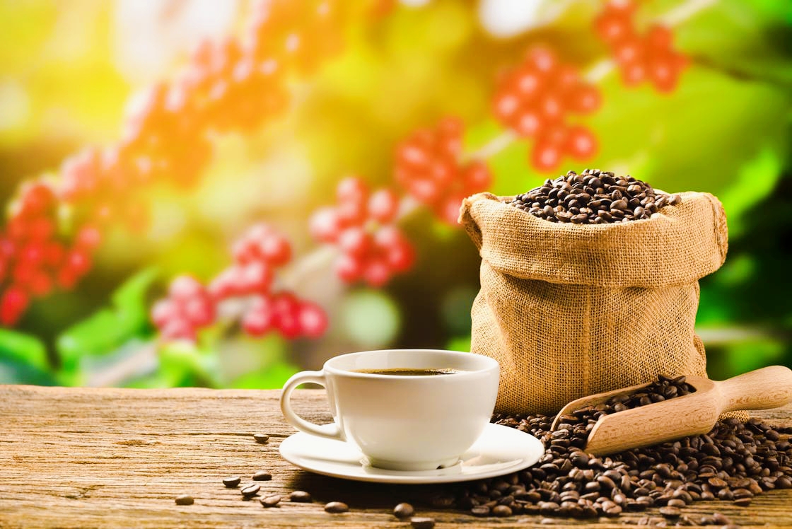 El café y la salud: ¿Cómo puede una taza diaria ayudarte a vivir más tiempo?