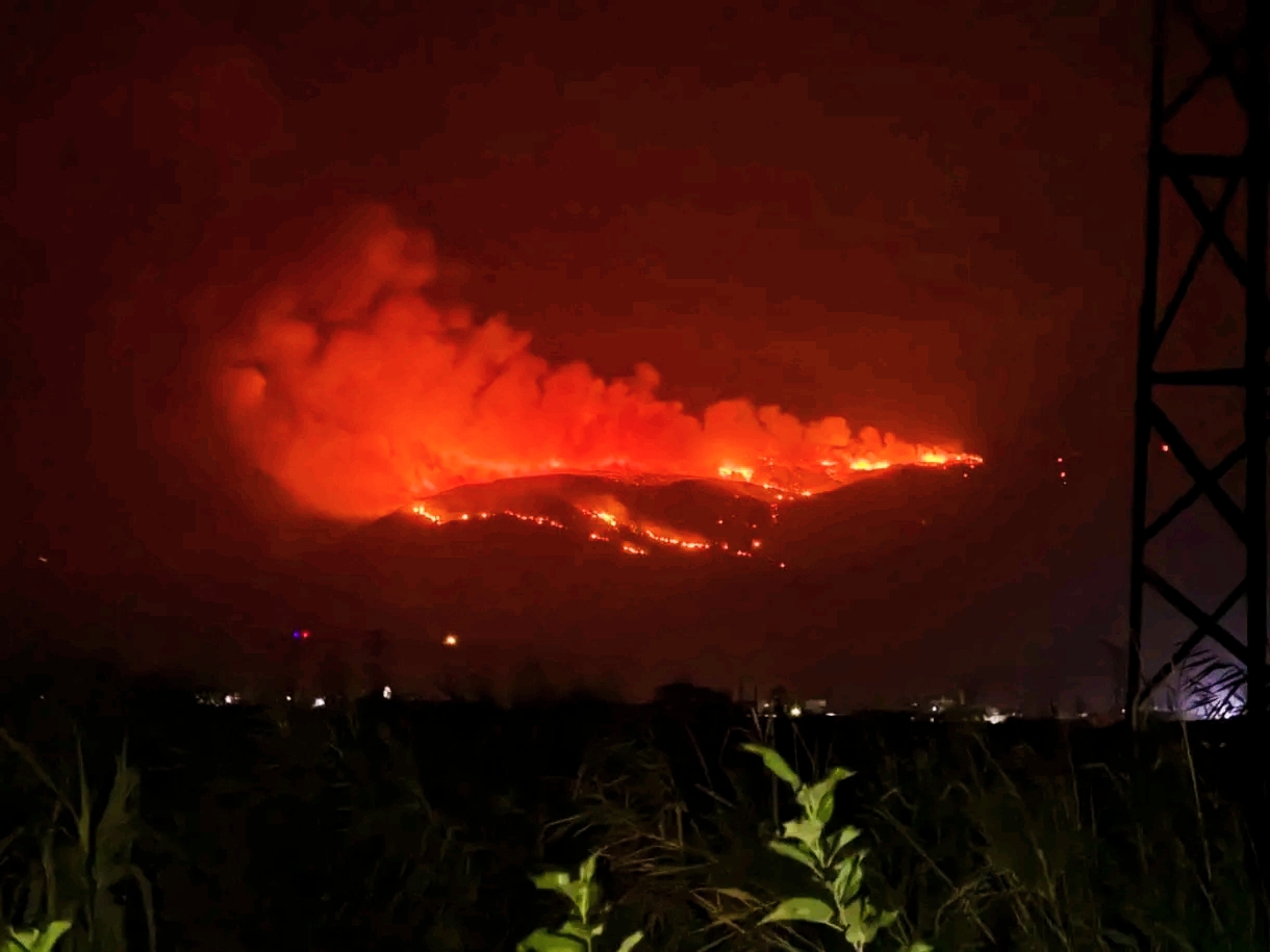 Am dritten Tag in Folge .. Massive Waldbrände zwischen Latakia und Hama