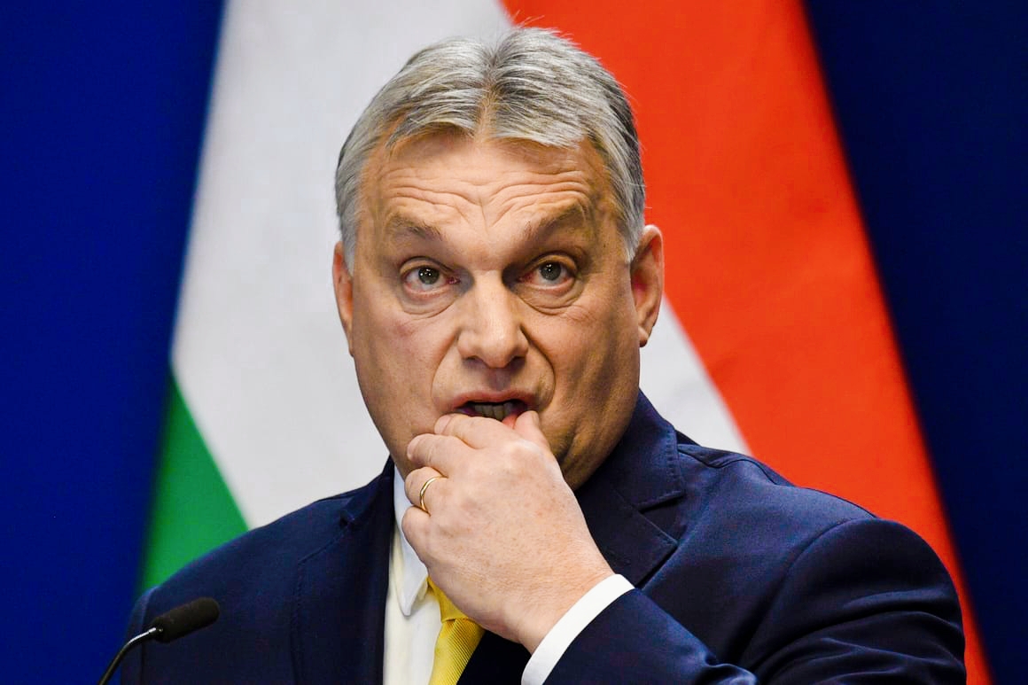 Diplomatische Krise zwischen Budapest und Kiew: Orbán reagiert auf "Erpressung" von Selenskyj