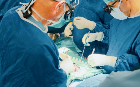 Teilweise Herztransplantation bei Kindern: Neue Hoffnung zur Behandlung angeborener Herzklappenfehler