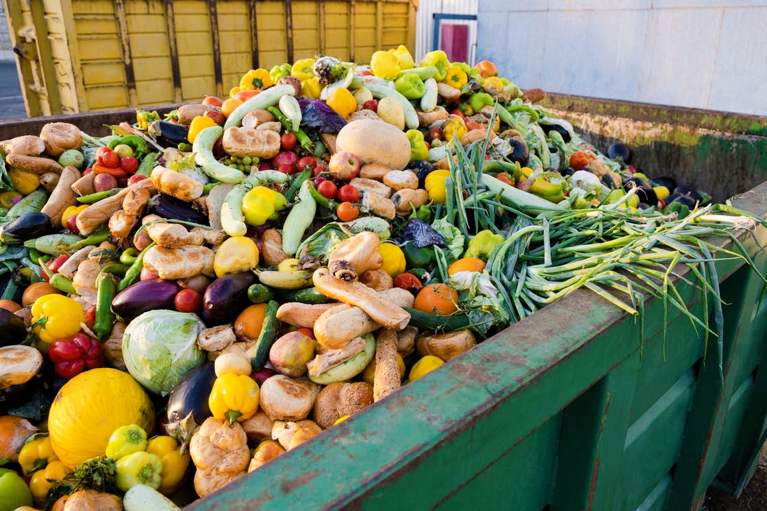 The European Union Faces Food Waste and Fast Fashion with a Crucial Environmental Plan