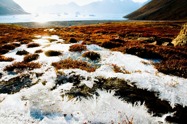 Microbios de 40 mil años regresan a la vida bajo el hielo... advertencia de una posible pandemia