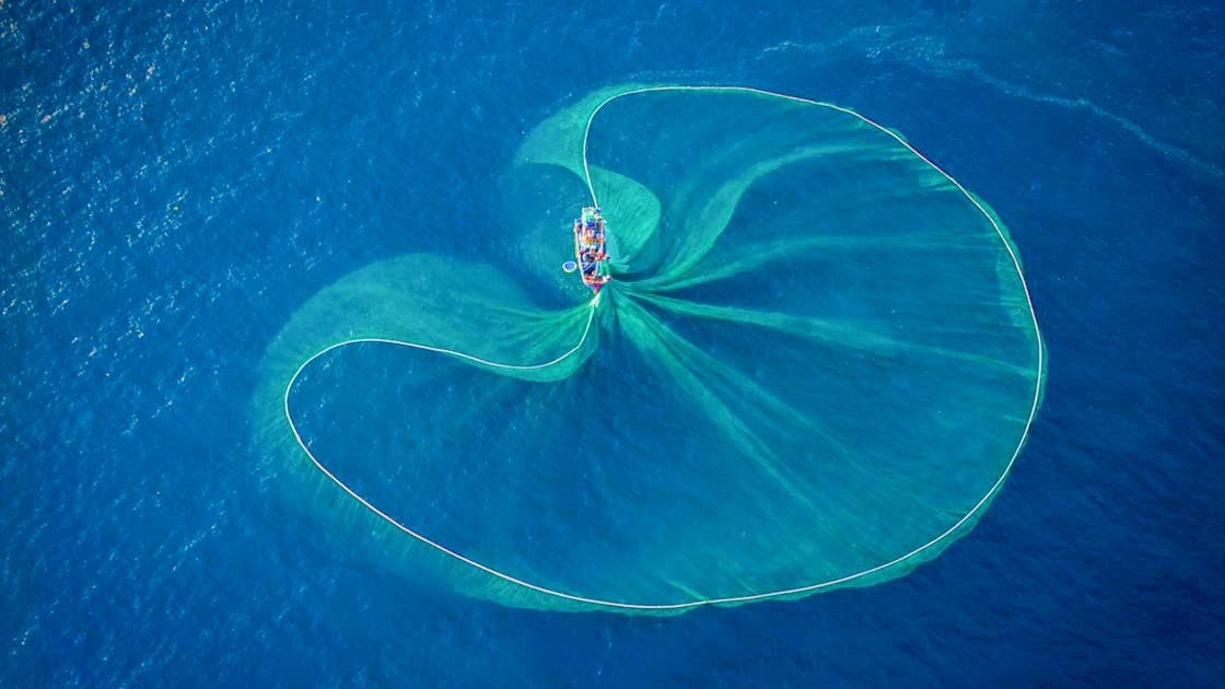 French Fishing Nets Provide Unexpected Defense Against Russian Drones in Ukraine