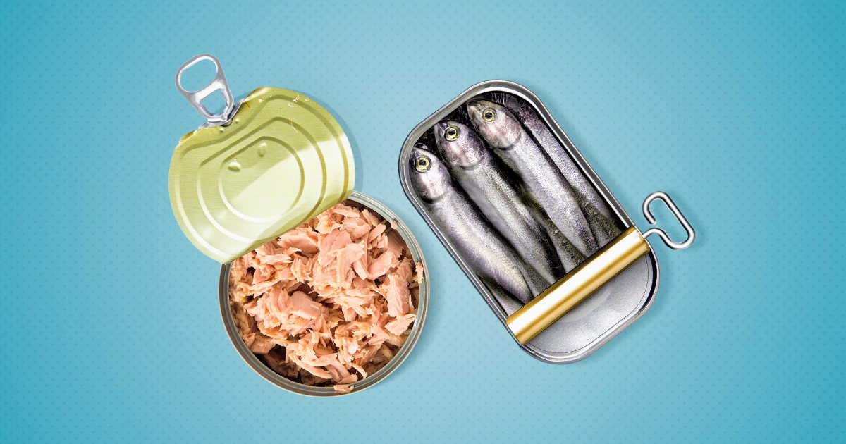 Comparing Sardines and Tuna: Which Fish Offers Greater Health Benefits?