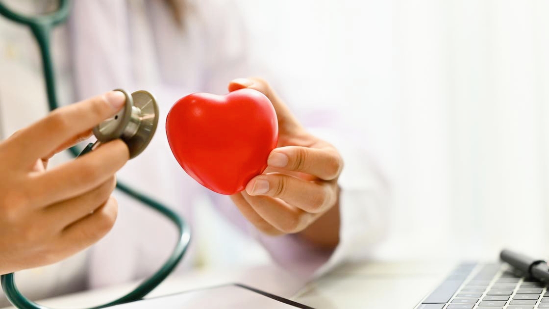 Cranberries: A Nutrient-Packed Fruit for Heart Health and Disease Prevention