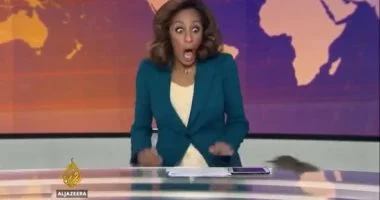 A mouse invades the Al Jazeera English news studio live on air.. Controversy over its authenticity