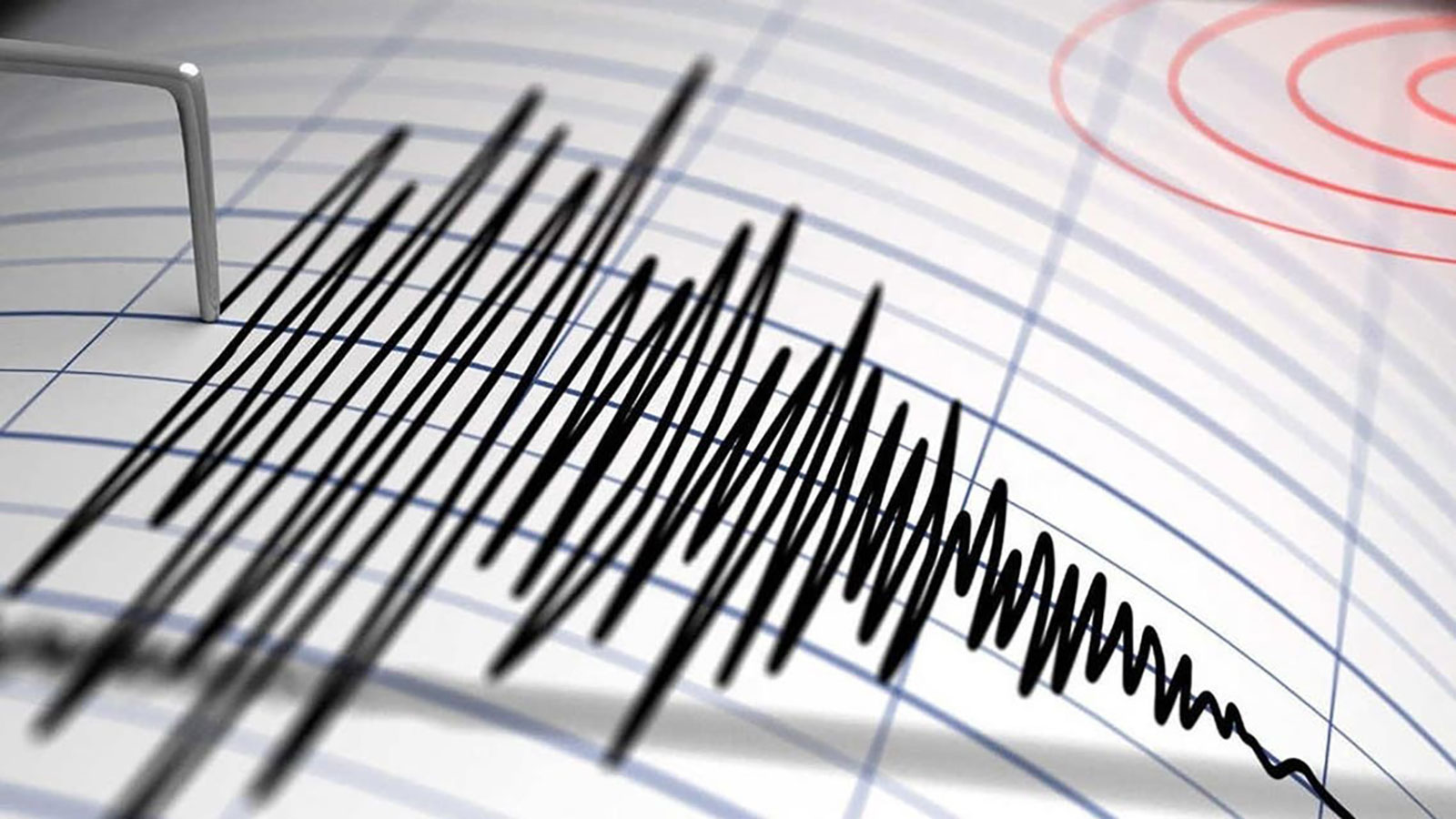 Un tremblement de terre de 6,5 degrés secoue la région de Papouasie en Indonésie sans alerte au tsunami