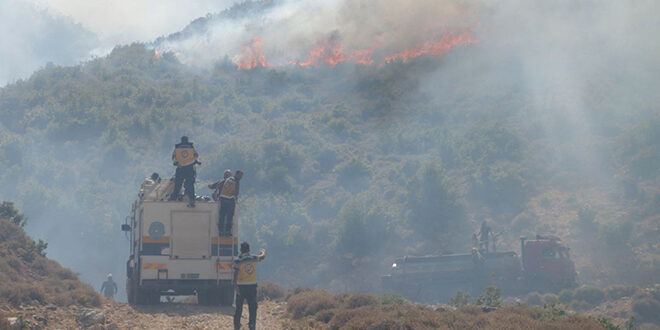 Intensive Response by Syrian Civil Defense to Forest Fires in Rural Hama.. and Extinguishing Two Major Fires