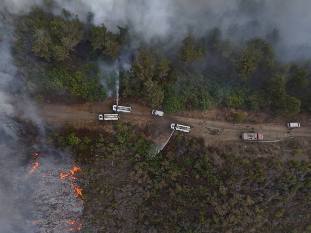 Poursuite des incendies de forêt à Lattaquié pour le sixième jour alors que les flammes se rapprochent des maisons