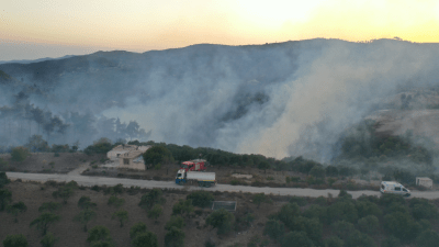 Les incendies dans les campagnes de Lattaquié et de Hama s'étendent... cinq d'entre eux sont sous contrôle et une course contre la montre pour éteindre les foyers enflammés