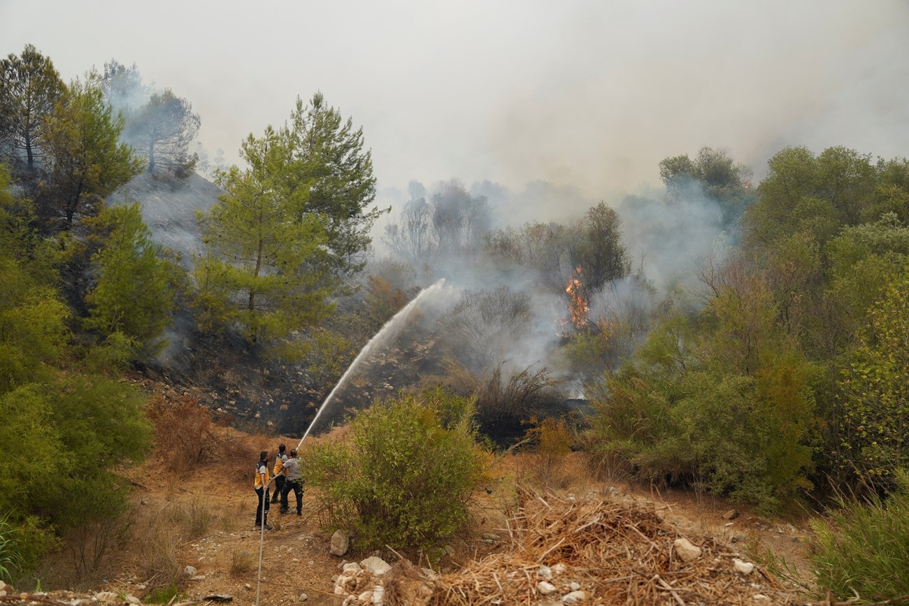 Civil Defense: Control of more than 80% of the fires in the countryside of Latakia and the start of cooling operations