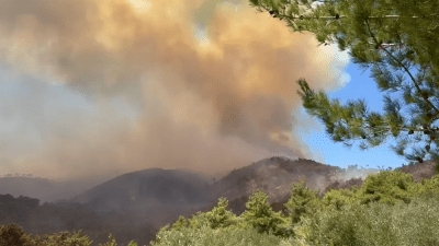 Incendios forestales en el campo de Latakia se extienden y el fuego llega a áreas residenciales y cierra la carretera de Kasab