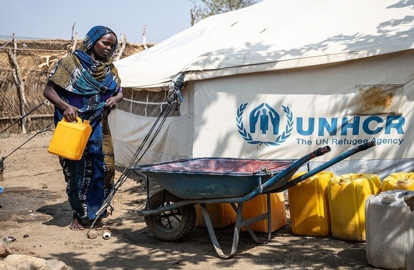Die sudanesische Stadt El Fasher leidet unter einem vollständigen Zusammenbruch des Lebens