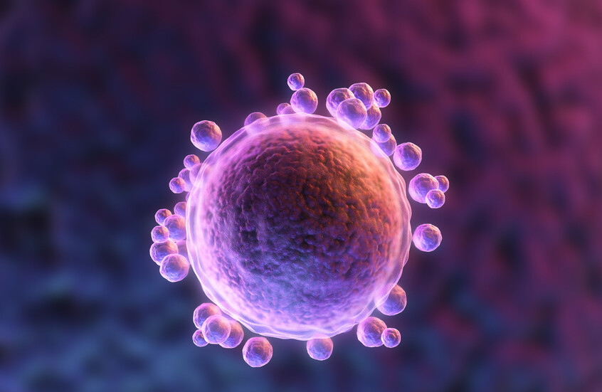 Revolution in Medicine: Producing Human Eggs from Skin Cells