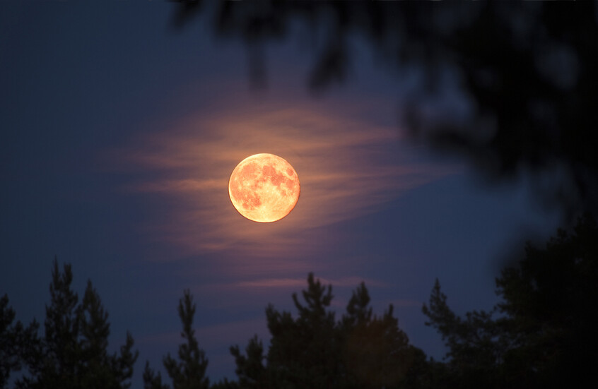 La lune vole-t-elle notre sommeil ? La science révèle la vérité