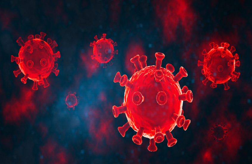 Entdeckung eines neuen Coronavirus in Fledermäusen in Brasilien weckt Bedenken über eine mögliche Pandemie