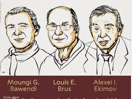 El Nobel de Medicina 2025 honra a los descubridores del mecanismo de “autocontrol” en el sistema inmunológico