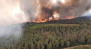 Massive fires consume 10,000 hectares of forests and cause injuries in southern France