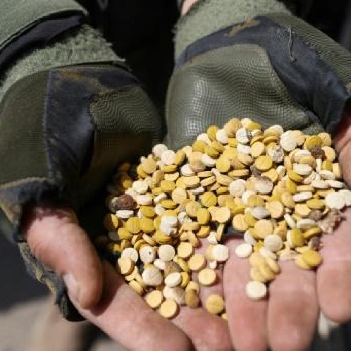 Syria and Iraq Collaborate to Seize 300,000 Captagon Pills and Arrest International Drug Traffickers