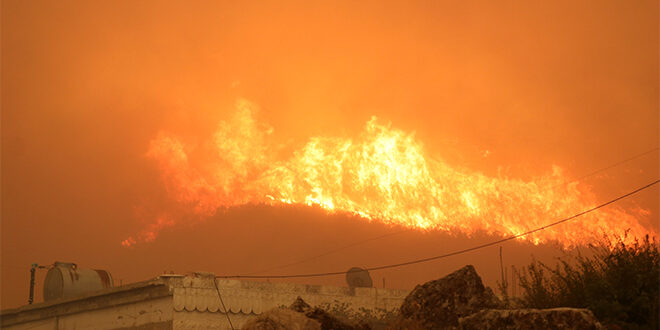 Flames Reach Civilian Homes in Al-Ghab Plain and Consume Forests as Locals Rush to Assist