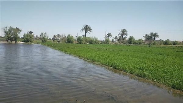 وزارت آب و خاک مصر توضیح می‌دهد: غرق اراضی طرح نیل "اقدام طبیعی" و نه پدیده‌ای اضطراری