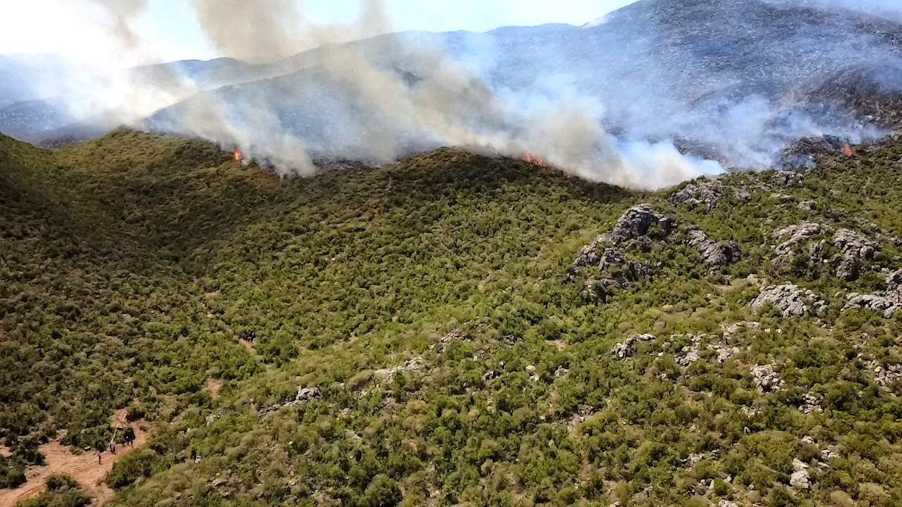 4 mil hectáreas dañadas por incendios en la llanura de Al-Ghab en la provincia de Hama