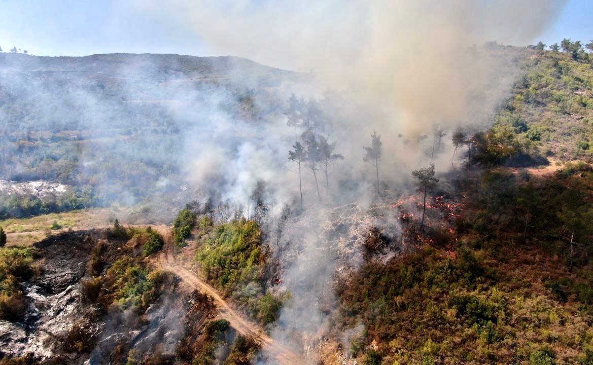Ministra de Asuntos Sociales: Formación de la Sala de Emergencias para Seguir la Situación de los Afectados por los Incendios en el Campo de Latakia
