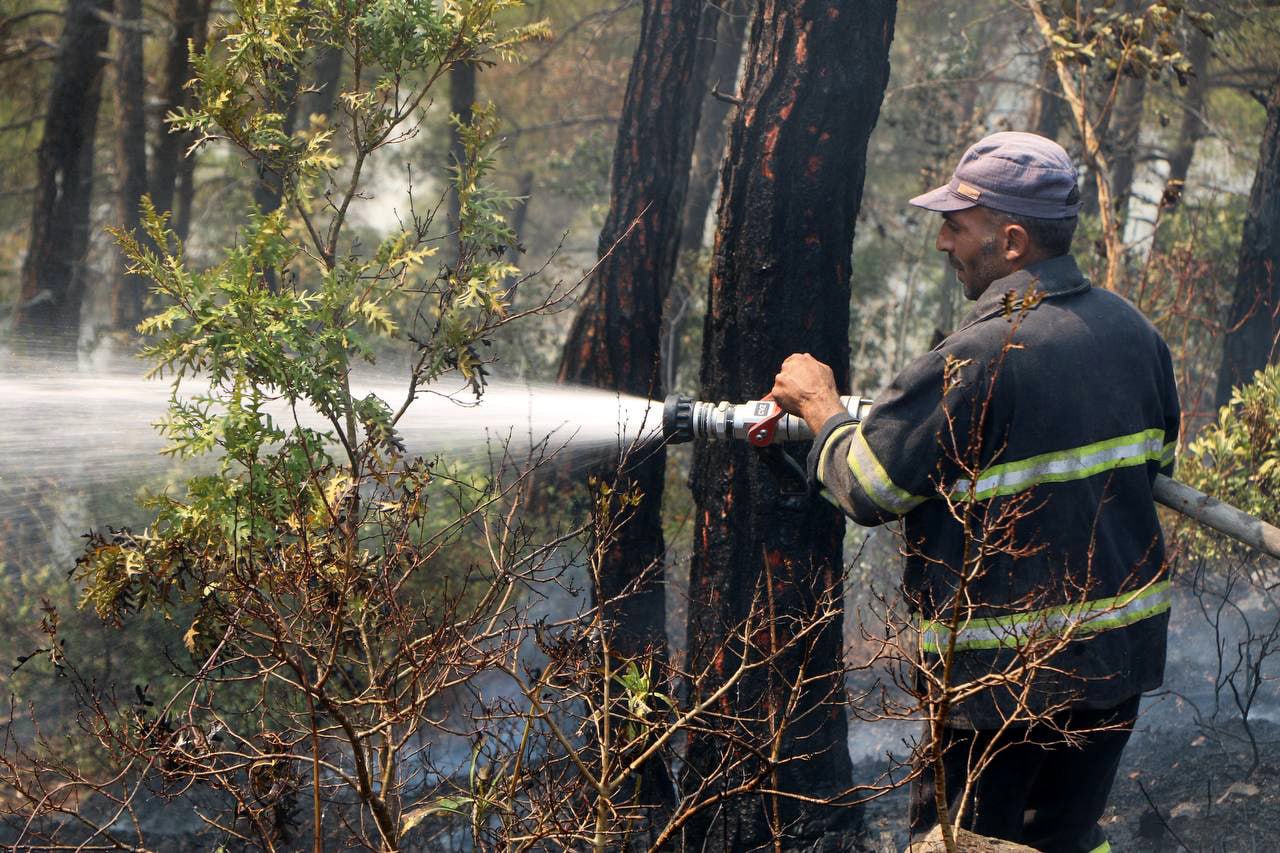 Fire Suppression Efforts in Latakia Continue for the Eighth Consecutive Day