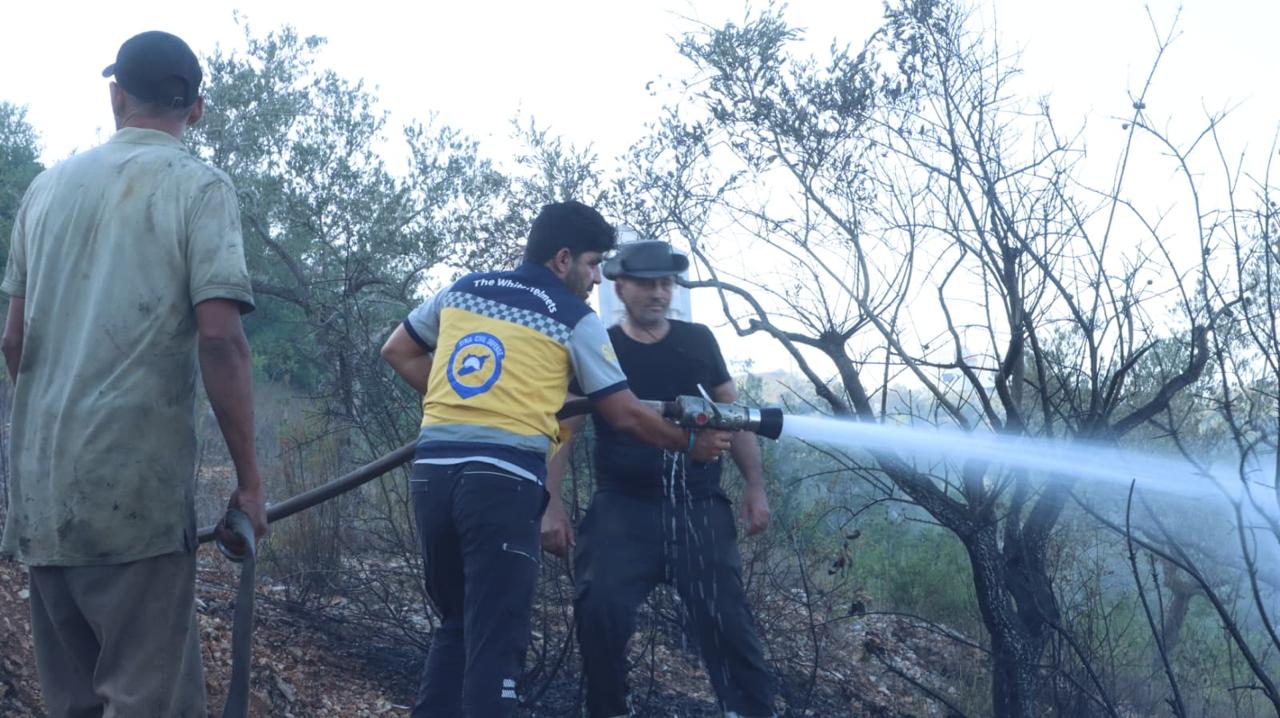 Civil Defense: Control of a Fire in the Forests of the Town of Bmalka in the Tartus Countryside
