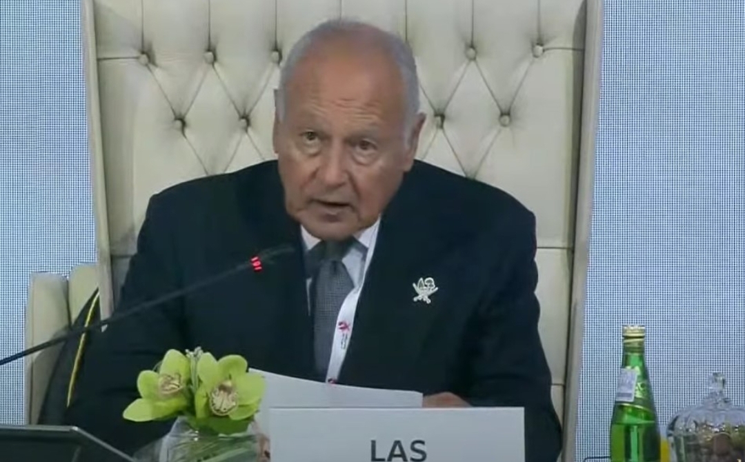 Aboul Gheit welcomes the roadmap for Sweida: a step towards stability in southern Syria and the unity of the state