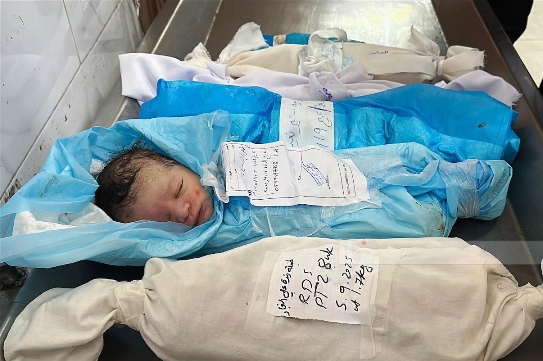 UNICEF: Gaza's premature infants share oxygen masks amid the collapse of the healthcare system
