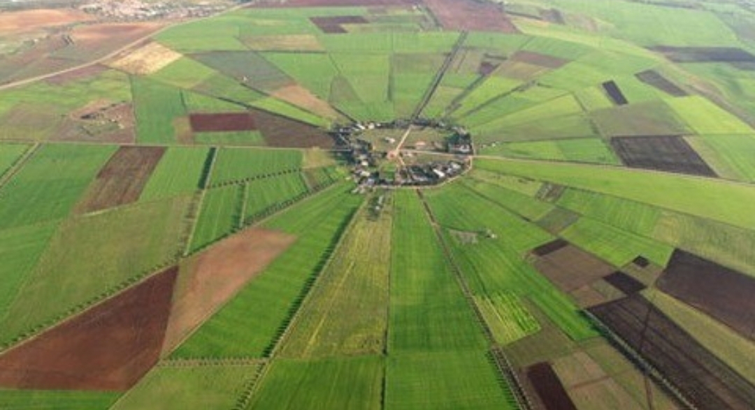 Morocco Sees 23% Rise in Grain Imports in January, Driven by Soft Wheat