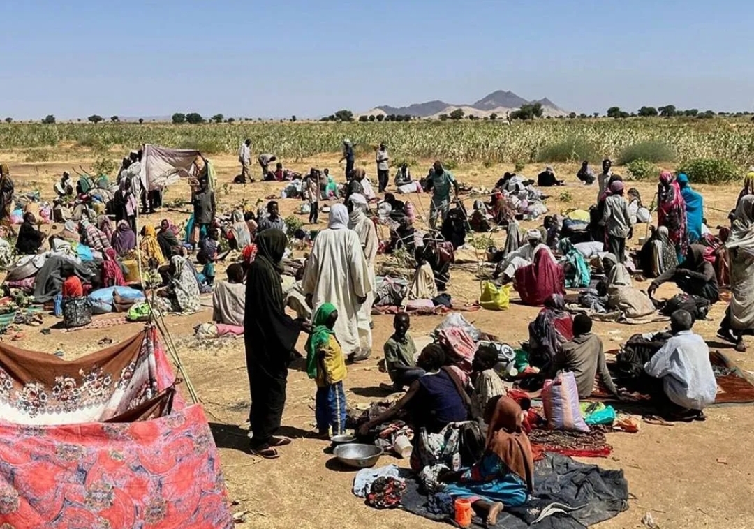 Red Cross Warns of Critical Humanitarian Crisis in El Fasher, Sudan