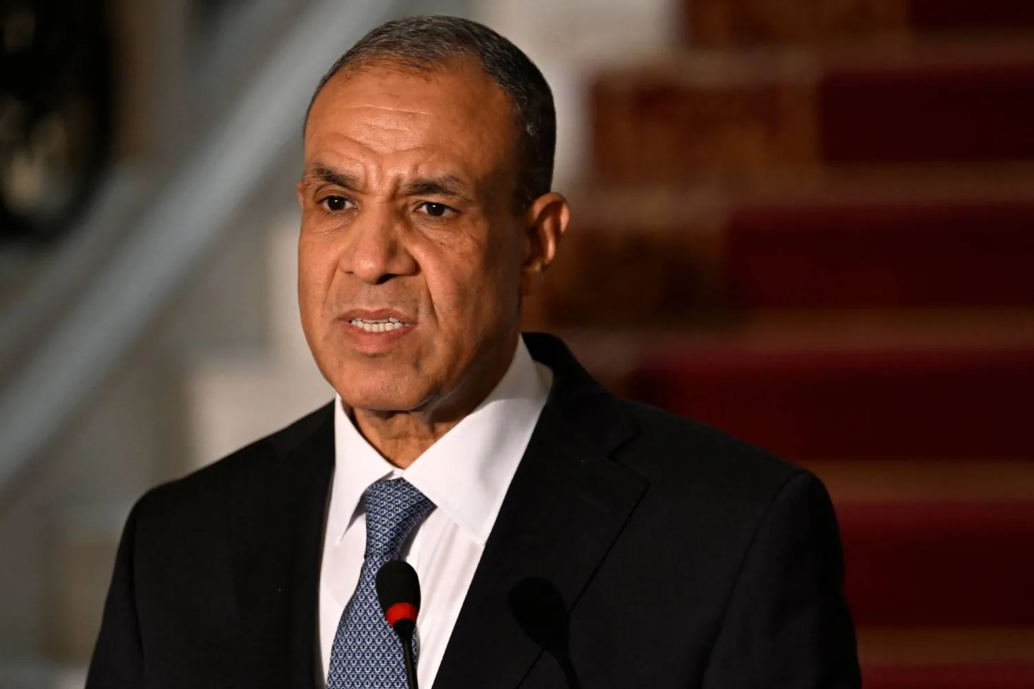 Egypt and Turkey Collaborate on Gaza Ceasefire Implementation