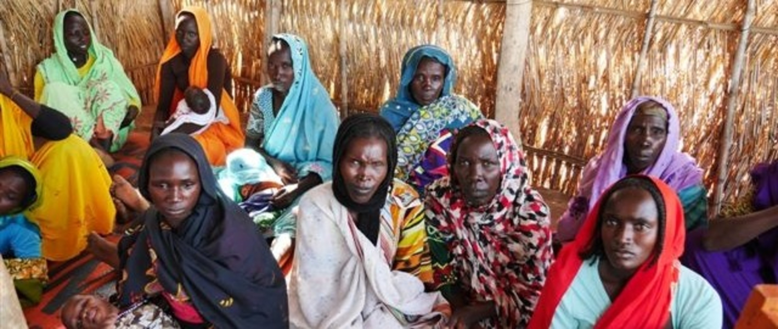 UN Official Warns of Humanitarian Crisis in Darfur, Citing Sexual Violence Against Women