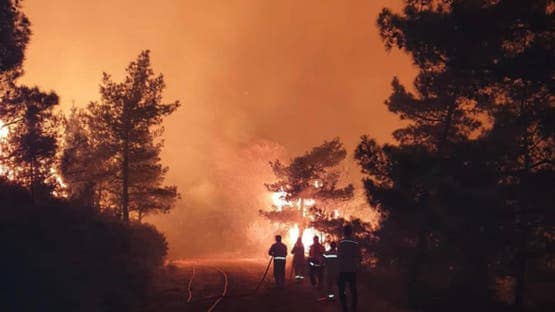 Turkey Faces Escalating Forest Fires Despite Improvement in Izmir