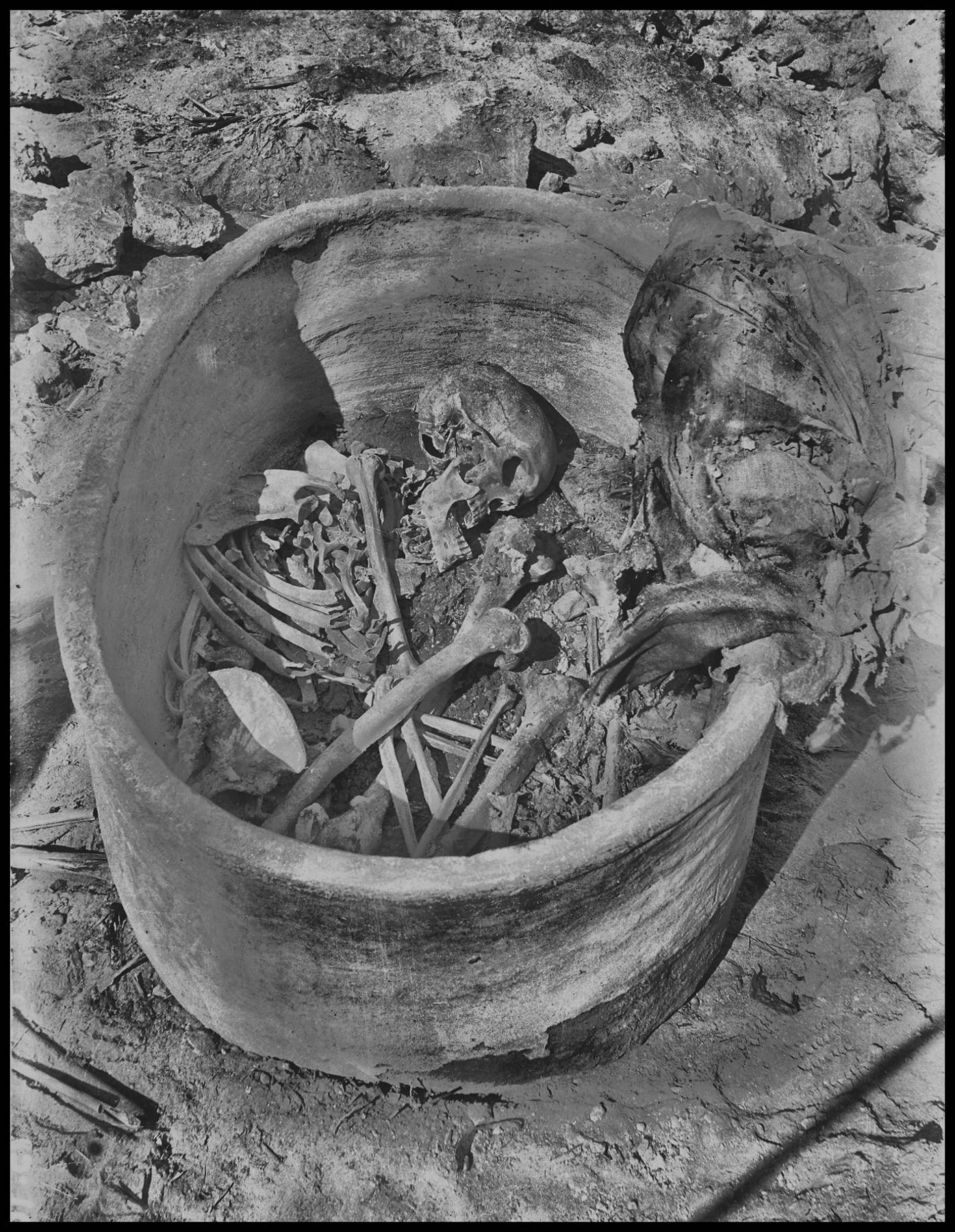 Descubrimiento de vínculos genéticos entre el antiguo Egipto y Mesopotamia a través del análisis de ADN