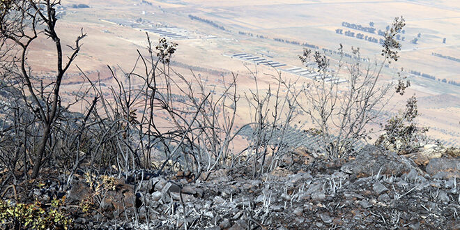 Syrian Civil Defense Controls Forest Fires in Idlib and Hama.. Difficulties Facing Suppression Operations