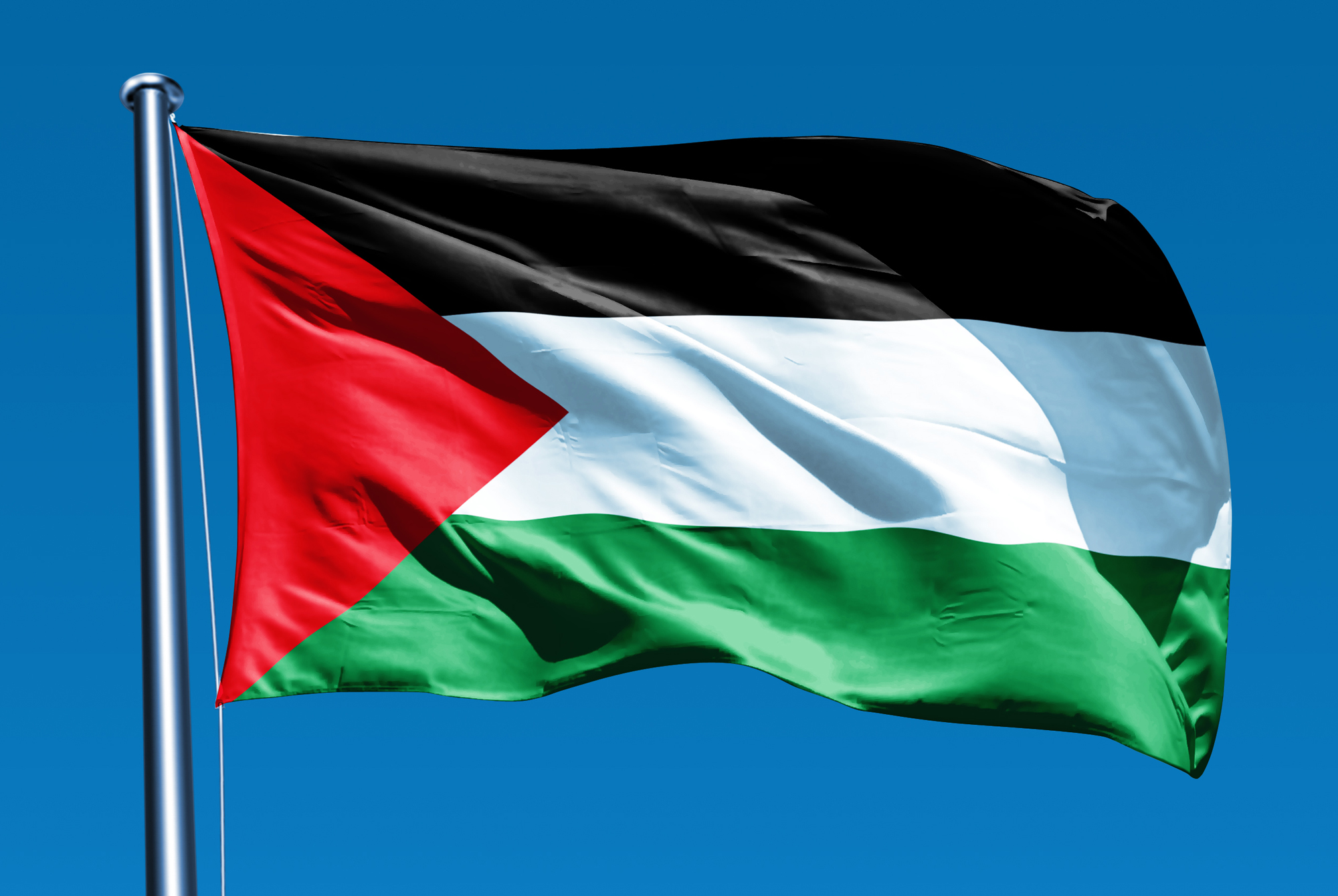 Movimiento internacional amplio para reconocer a Palestina.. y presiones para revivir la solución de los dos estados